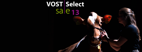 Select Sale 12
